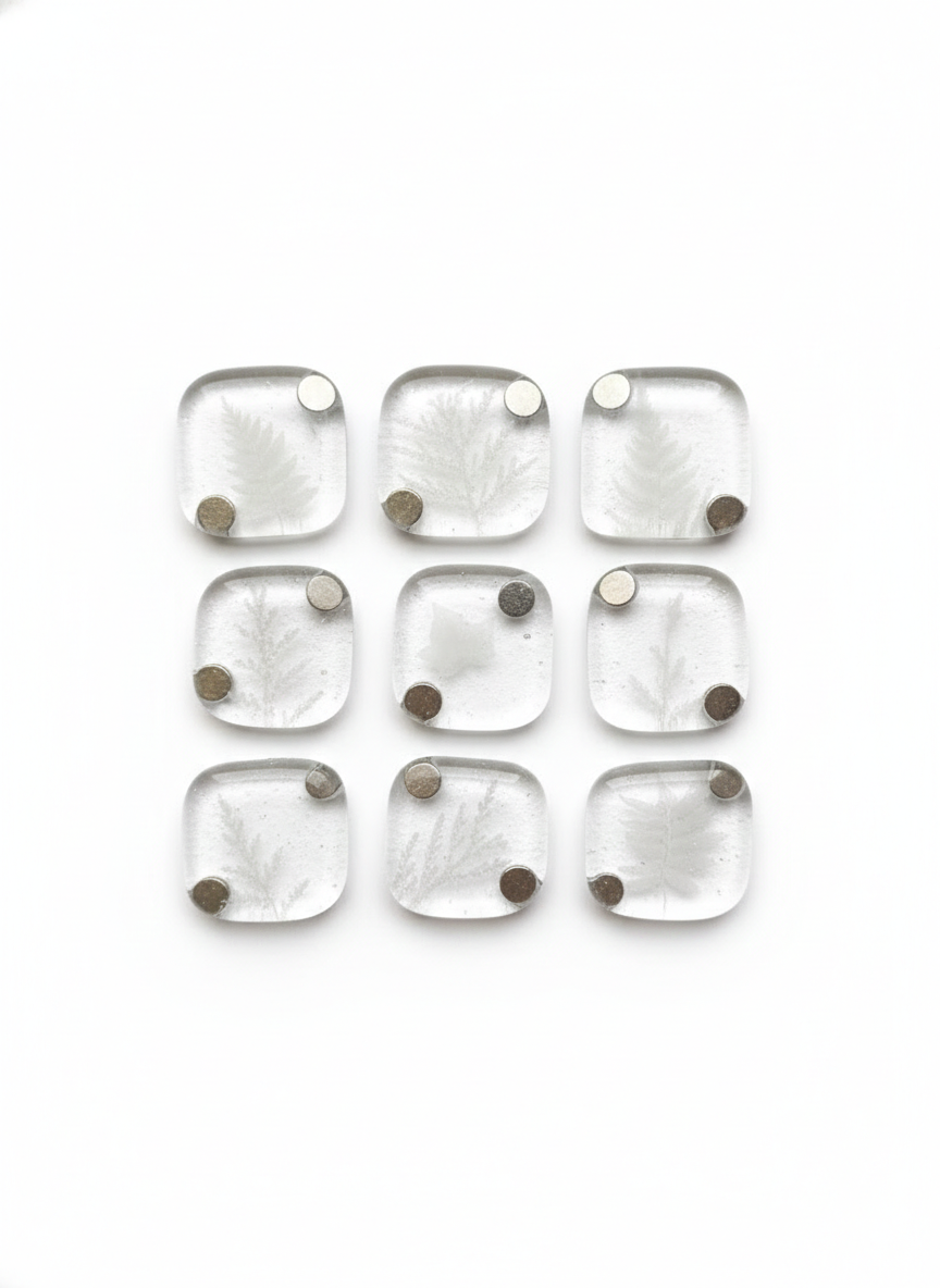 "Ghost Fossil" Magnets