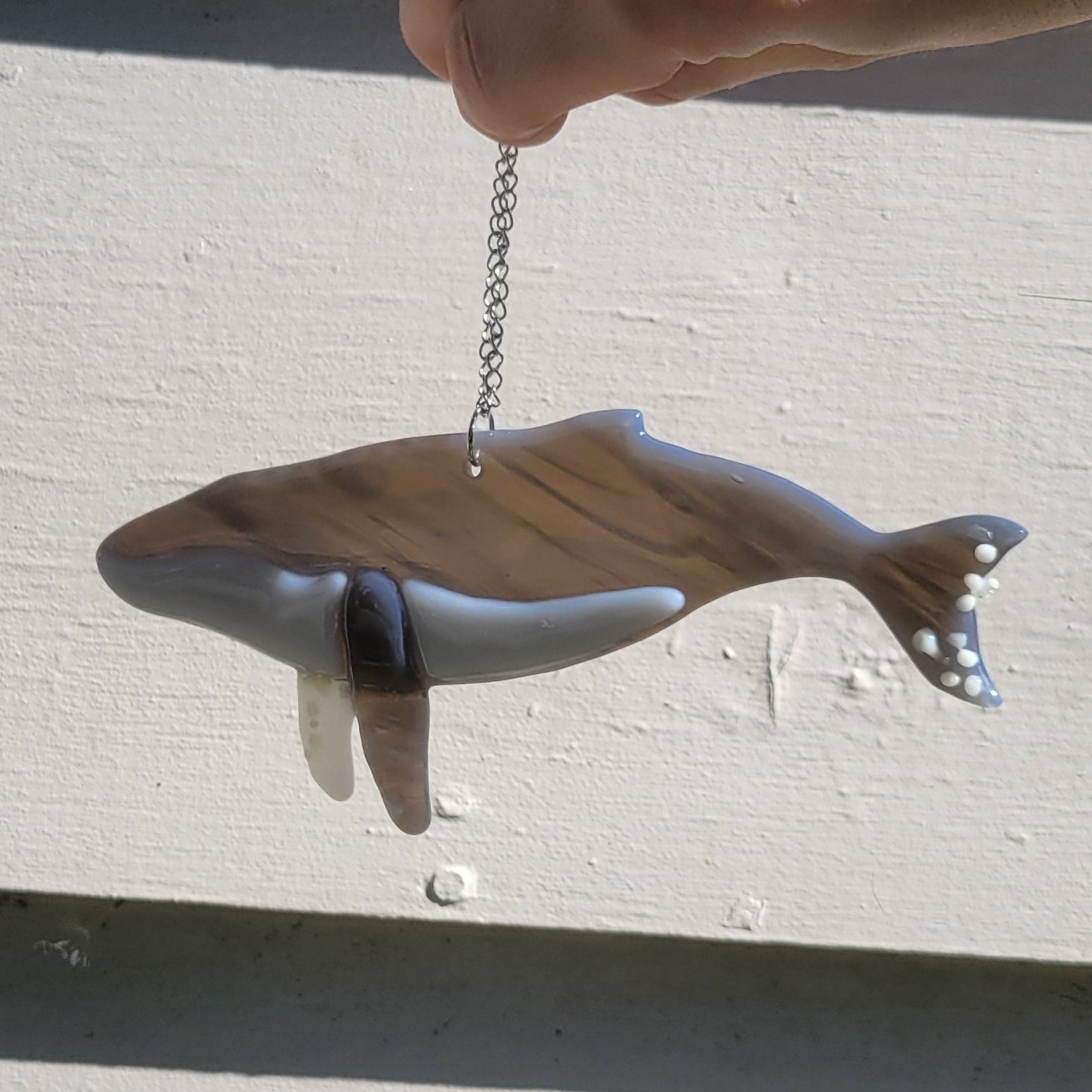 Fused Glass Humpback Whale Suncatcher – Pacific Northwest Inspired