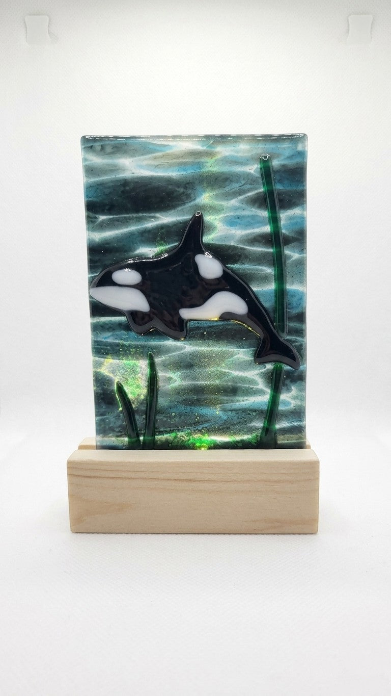 Fused Glass Orca- Mini Panel