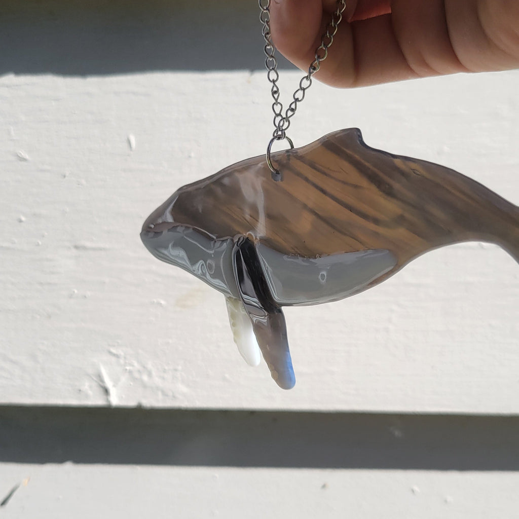 Fused Glass Humpback Whale Suncatcher – Pacific Northwest Inspired